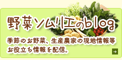 野菜ソムリエのblog
