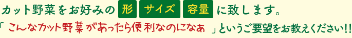 カット野菜をお好みの形、サイズ、容量に致します。「こんなカット野菜があったら便利なのになあ」というご要望をお教えください！！